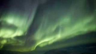 Portrait: Out of the Blue