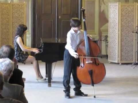 Variations on a Czech folk song