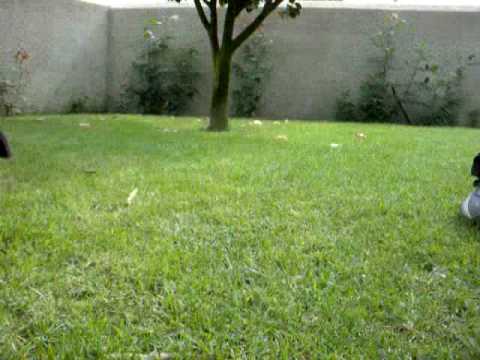 Farnerud de Terras do Balio