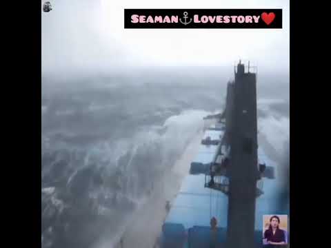 Seaman? Seamanloloko