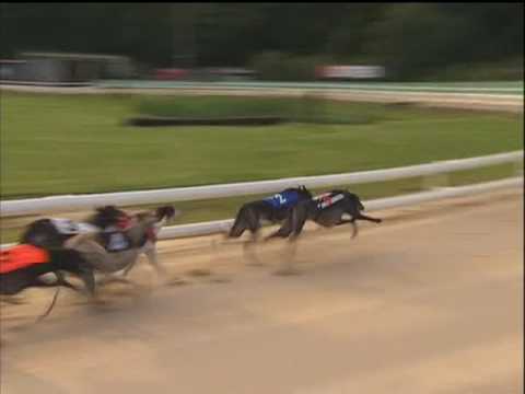 2017 BETFRED STAYERS - T2 CUBA LIBRE