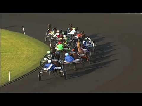 Prix De Belgique Gr2 2007 - Prix d’Amerique Q6 - Niky & Bernard Piton 1.13,6 2850m