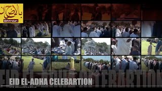 Eid celebration, Somalis Reactions, to City Council Michale Rainvill's statement about Somali youth.