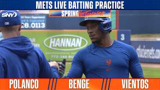 Polanco, Benge, Vientos, more face-off against live pitching in PSL | Mets Spring Training