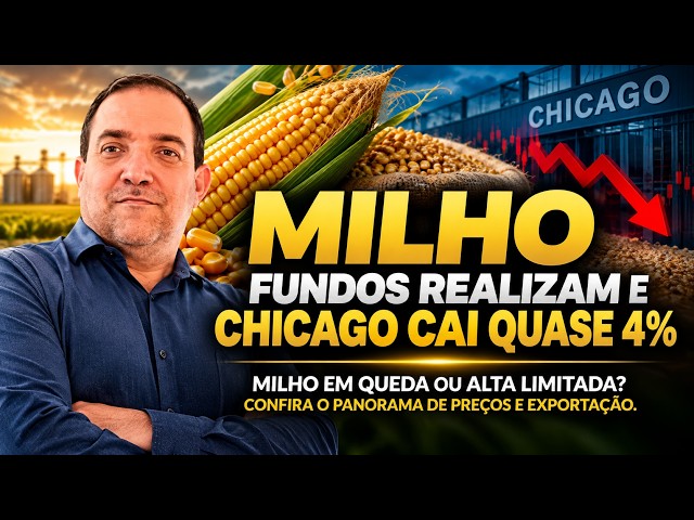 Milho - Fundos Realizam e Chicago Cai Quase 4%.
