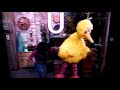 Sesame Street Was Brought To U Today The Letter U And By The Number 19
