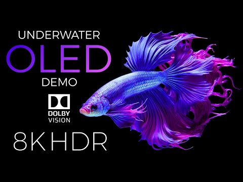 Underwater World OLED Demo HDR 8K Ultra HD Dolby Vision™ 60fps