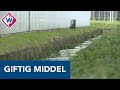 Verboden giftig bestrijdingsmiddel in wateren Westland