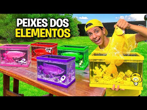 FIZ OS AQUÁRIOS DOS ELEMENTOS *Os Rosa gostaram ?