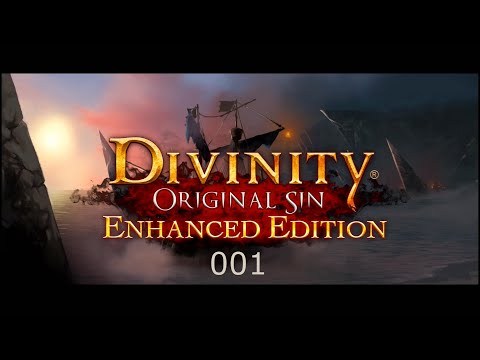 Let's Play Together - Divinity Original Sin (Enhanced Edition) #001 - Die Quellenjäger [Deutsch][HD]