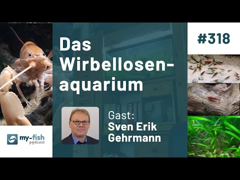 my-fish.org - Invertebrate Aquarium - An aquarium for shrimp, snails & crayfish (Sven E. Gehrmann)