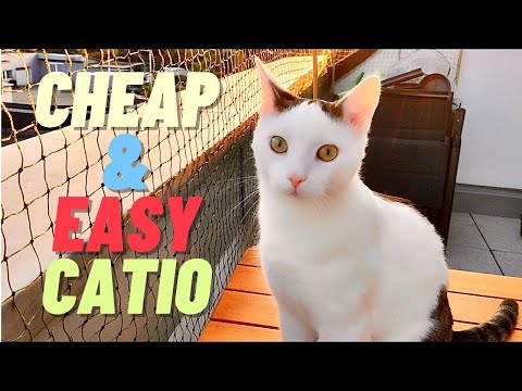 How To Make A Balcony for Cats - Easy And Simple DIY Catio For Cheap
