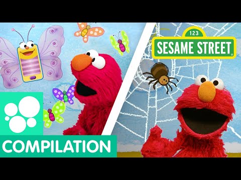 Sesame Street: Learn About Animals with Elmo | Elmo's World Compilation