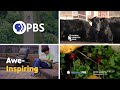 PBS Program Break 2021 KCWC