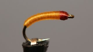 Sparse Grey Matter and Shannon's Hot Stove Fly Sessions