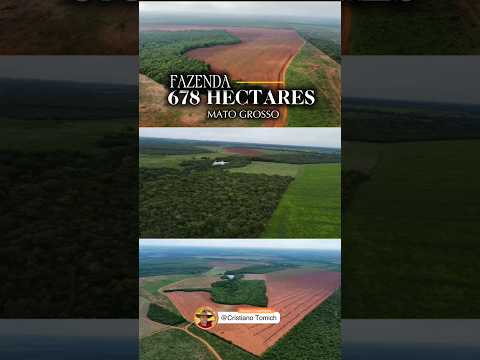 FAZENDA A VENDA 678 HECTARES NO MATO GROSSO #fazenda #mercadoagricola #gado #agroemfocotvdigital
