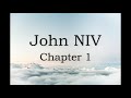 The Book of John NIV - Chapter 1 (Audio)