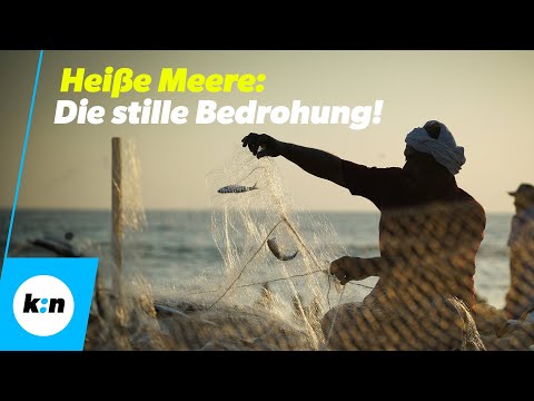 Die unsichtbare Gefahr: Hitzewellen im Meer und ihre Folgen!