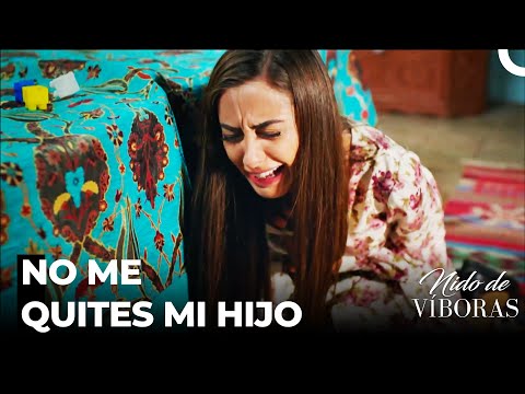 No Se Quede Sin Madre Mi Hijo - Nido De Víboras