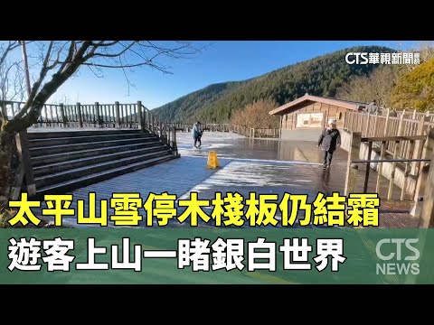太平山雪停木棧板仍結霜　遊客上山一睹銀白世界