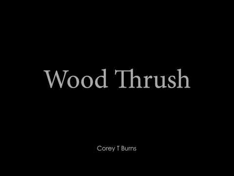 Wood Thrush Audio 062220