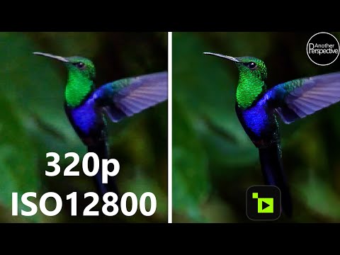 The Day The Camera Industry Died | TOPAZ VIDEO AI 5