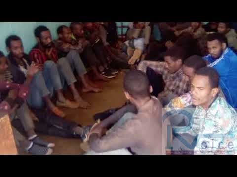 98 Ethiopian immigrants arrested at Jenda in Mzimba Malawi
