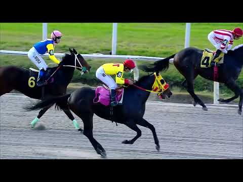 220723 c07 GUIRNALDA