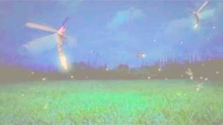 Fireflies Cover