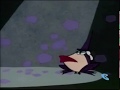 2 Stupid Dogs Witch Transforms Into Frog