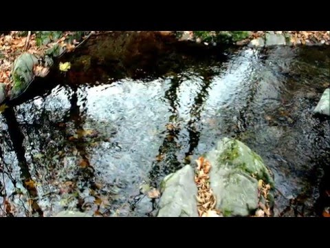 🔴 Lonau & Sieber - so nah und doch verschieden - in Herzberg am Harz - la Esperanto-urbo - Gewässer