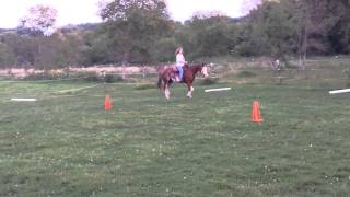 Tess 3, Sun n Fancy Free