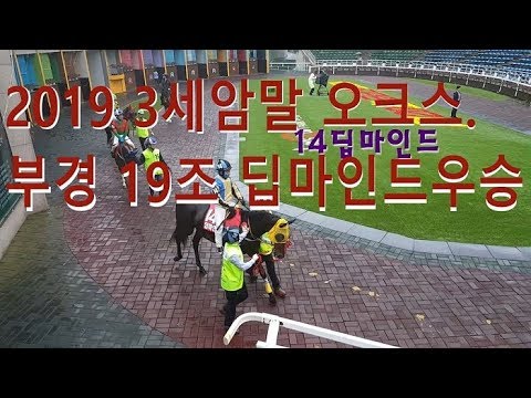 2019 오크스. 딥마인드 우승!! 20,117배 고배당