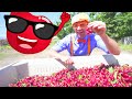 Blippi Visits A Cherry Farm 1 HOUR OF BLIPPI TOYS Learning Fruits And Healthy Eating For Kids