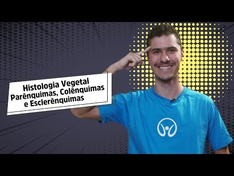 Parenchyma, Collenchyma, and Sclerenchyma | Plant Histology - Brasil Escola