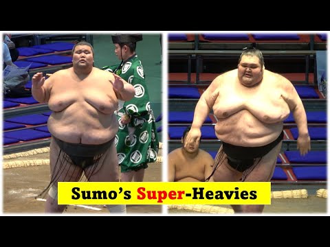 Sumo's super heavies: 248kg Dewanojo & 238kg Kenho