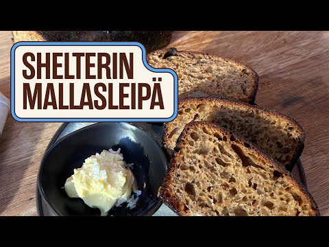 Shelterin mallasleipä | Morjesta pöytään