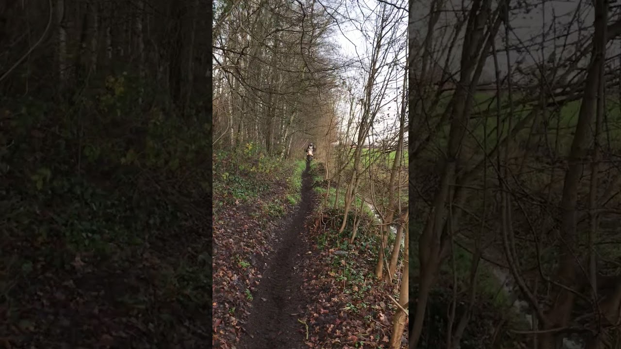 MotoExperience off-road video