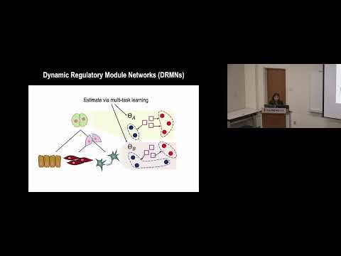 Deciphering gene regulatory networks of cell-fate specific from bulk and single cell omic data