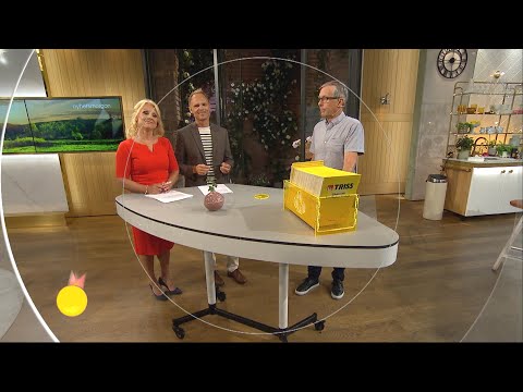Oj vilken trissrysare! - Nyhetsmorgon (TV4)