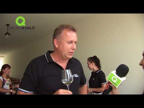 Za vínem na Podluží - Tvrdonice, Kostice