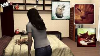 Cat ladies really are more likely to be crazy thanks to parasite in cat feces