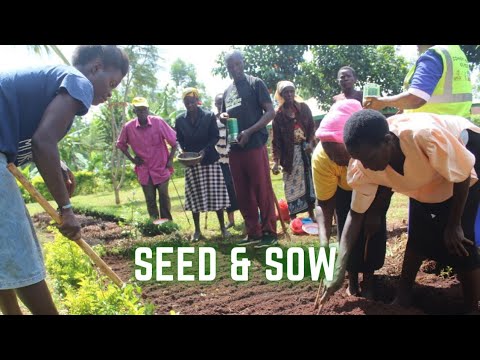 Seed & Sow