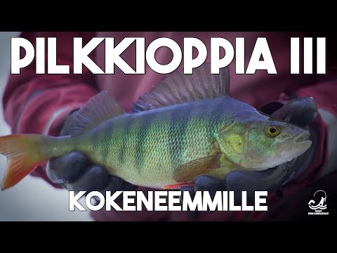 Pilkkioppia III - Kokeneemmille