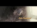 Fast And Furious Tamil Love WhatsApp Status