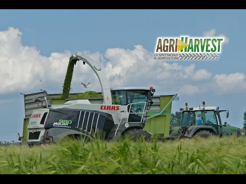 Exclusive Claas Jaguar 980 - The Black Beast at work - Biogas silage 2016 | 4K