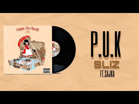 SLIZ - P.U.K (FT.SAJKA)