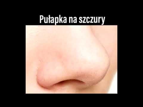 Zajek~Volt ~Kozioł ft.Qbek - Puls