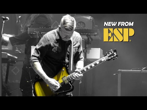 ESP LTD Bill Kelliher Signature Series Sparrowhawk - Vintage Silver Sunburst image 2