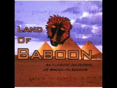 Lloop & Morpheus - Hibiscus (Land Of Baboon)